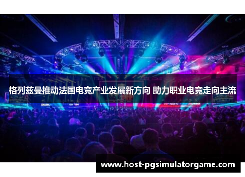 格列兹曼推动法国电竞产业发展新方向 助力职业电竞走向主流 格列兹曼推动法国电竞产业发展新方向 助力职业电竞走向主流