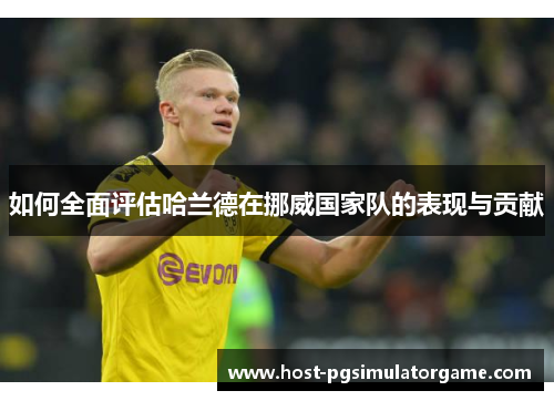 如何全面评估哈兰德在挪威国家队的表现与贡献