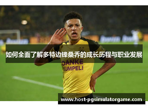 如何全面了解多特边锋桑乔的成长历程与职业发展 如何全面了解多特边锋桑乔的成长历程与职业发展