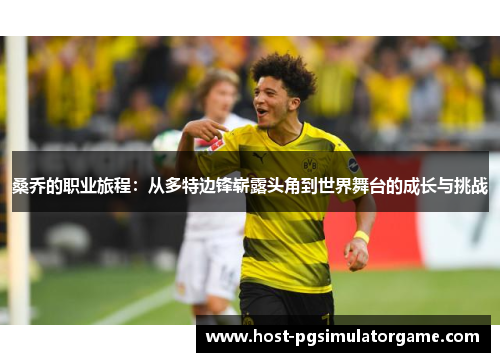 桑乔的职业旅程：从多特边锋崭露头角到世界舞台的成长与挑战
