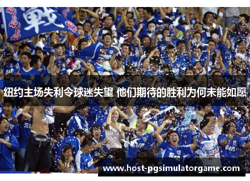 纽约主场失利令球迷失望 他们期待的胜利为何未能如愿