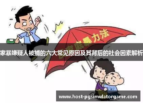 家暴嫌疑人被捕的六大常见原因及其背后的社会因素解析