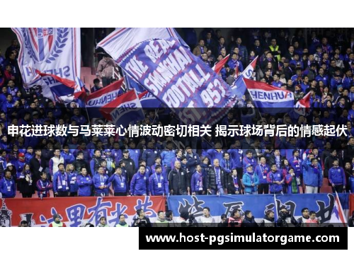 申花进球数与马莱莱心情波动密切相关 揭示球场背后的情感起伏