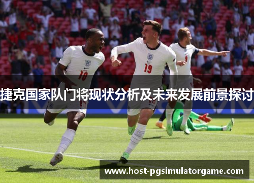 捷克国家队门将现状分析及未来发展前景探讨