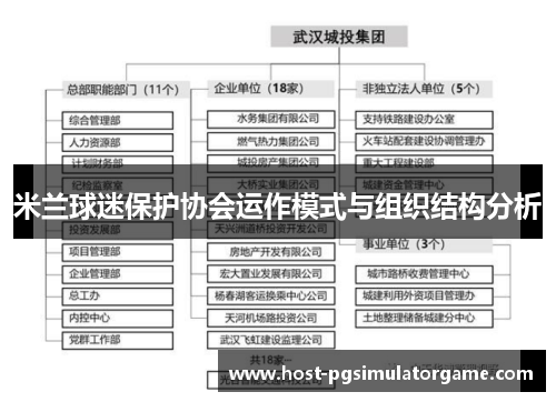 米兰球迷保护协会运作模式与组织结构分析