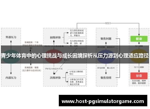 青少年体育中的心理挑战与成长困境探析从压力源到心理适应路径 青少年体育中的心理挑战与成长困境探析从压力源到心理适应路径