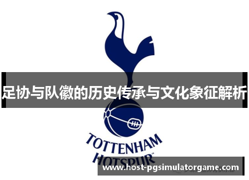 足协与队徽的历史传承与文化象征解析