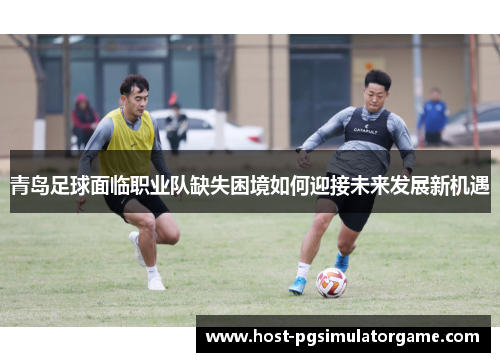 青岛足球面临职业队缺失困境如何迎接未来发展新机遇