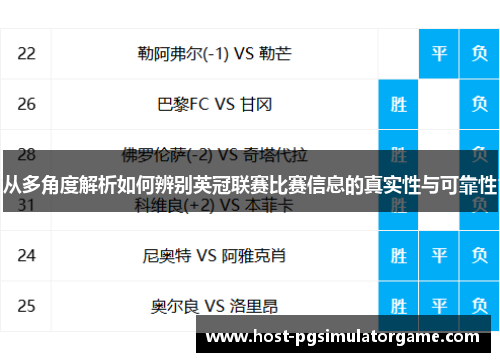 从多角度解析如何辨别英冠联赛比赛信息的真实性与可靠性