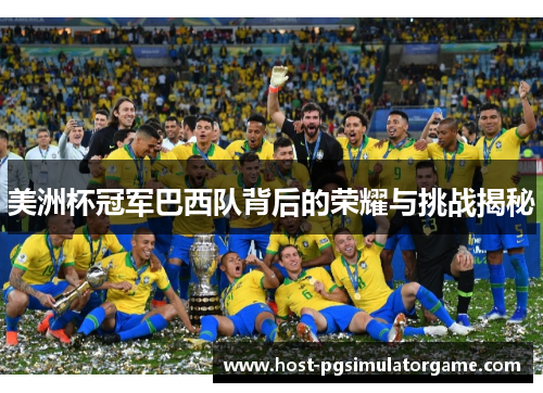 美洲杯冠军巴西队背后的荣耀与挑战揭秘