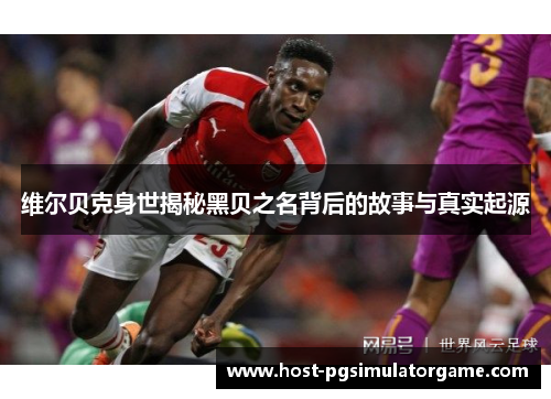 维尔贝克身世揭秘黑贝之名背后的故事与真实起源