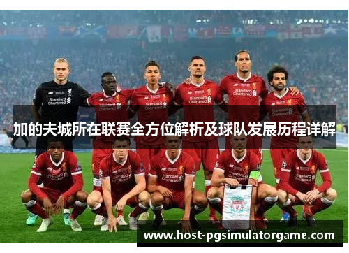 加的夫城所在联赛全方位解析及球队发展历程详解 加的夫城所在联赛全方位解析及球队发展历程详解