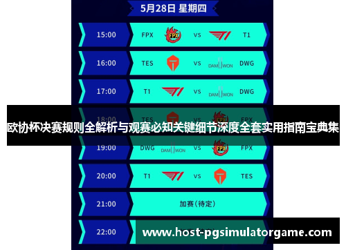 欧协杯决赛规则全解析与观赛必知关键细节深度全套实用指南宝典集