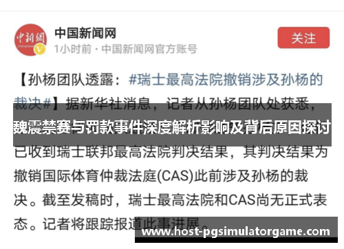 魏震禁赛与罚款事件深度解析影响及背后原因探讨