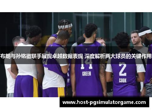 布朗与孙铭徽联手展现卓越数据表现 深度解析两大球员的关键作用