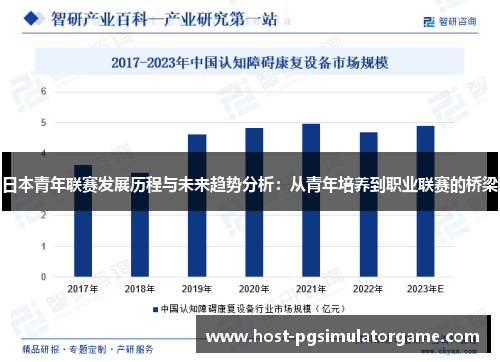 日本青年联赛发展历程与未来趋势分析:从青年培养到职业联赛的桥梁 日本青年联赛发展历程与未来趋势分析:从青年培养到职业联赛的桥梁